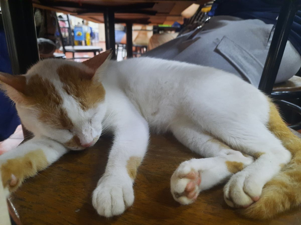 Katsupoy / 
Tisoy / Tulog / 
Yong